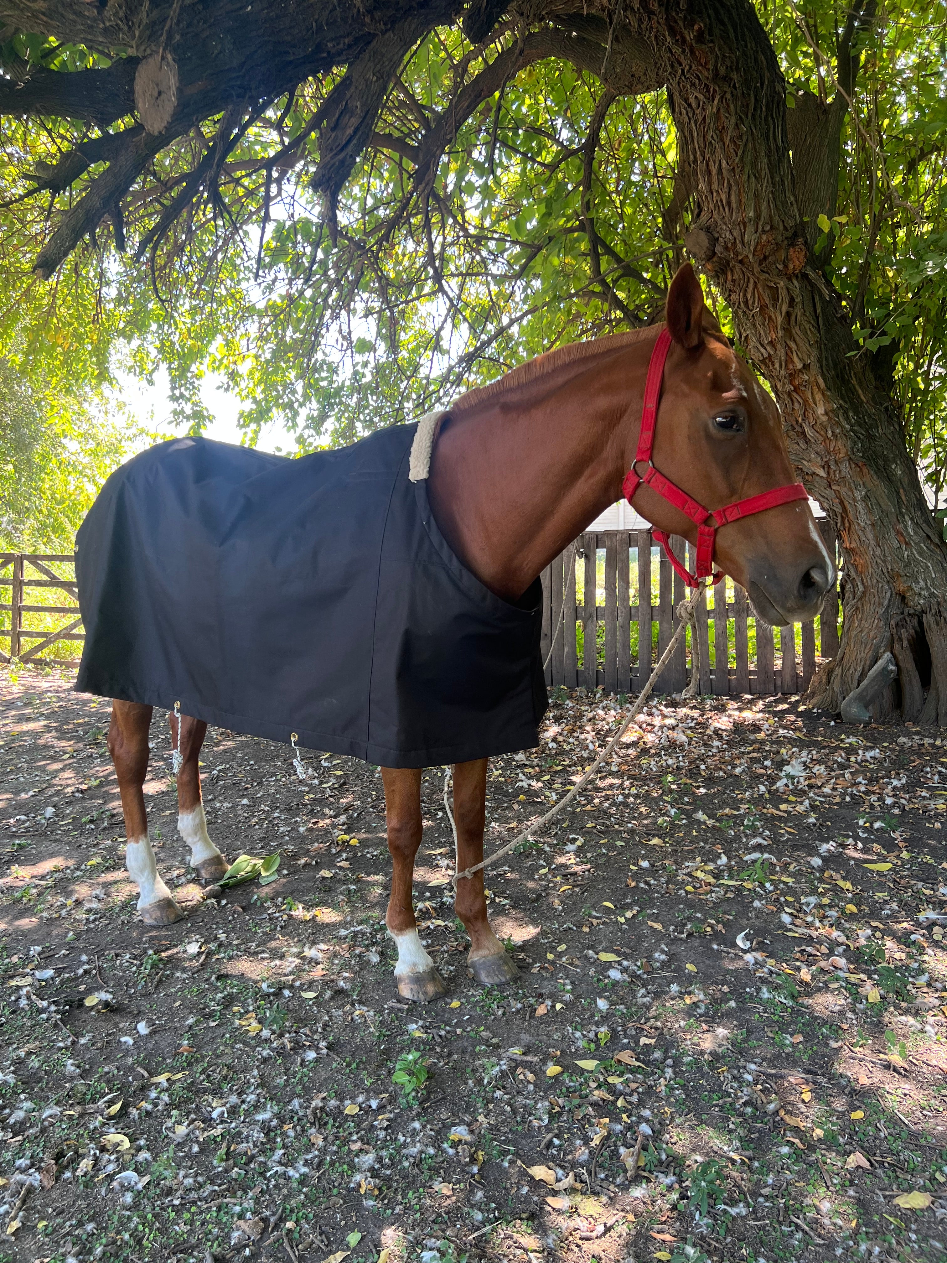 Cordura Impermeable con Arpillera