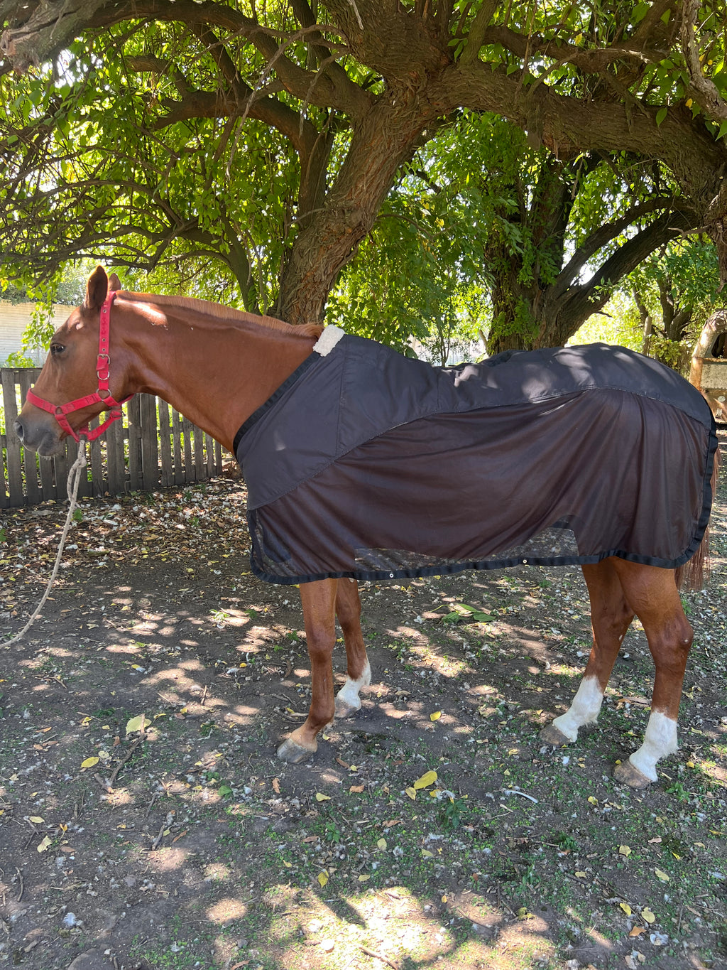 Manta Mosquitera: Gabardina de Algodón con Tela de Red